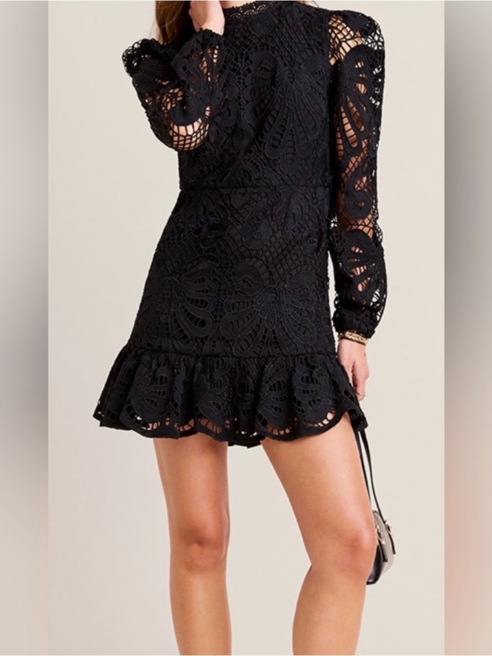 Francesca's Ruth Black Crochet Lace Mini Dress with Ruffle Hem XS